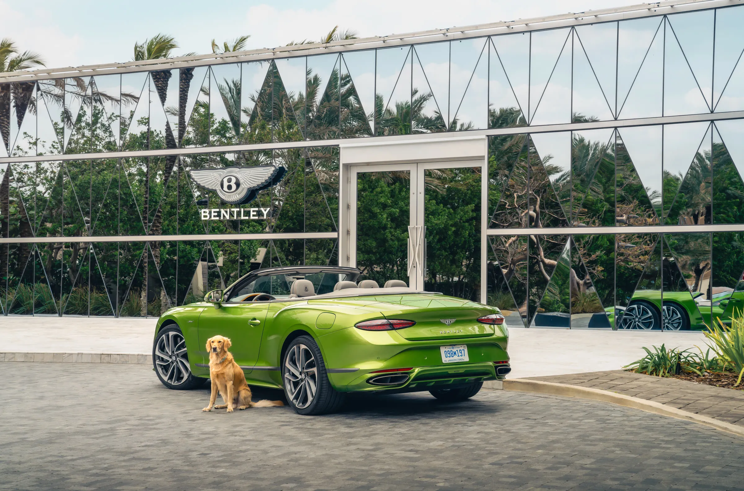 Bentley Automotive Collection Display